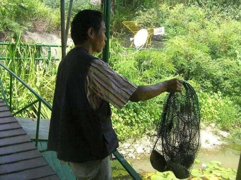 연밭에 붕어들 (유료터정보 - 유료터점주조황)
