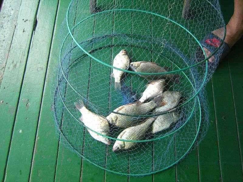 씨알좋은 장어와 붕어 (유료터정보 - 유료터점주조황)