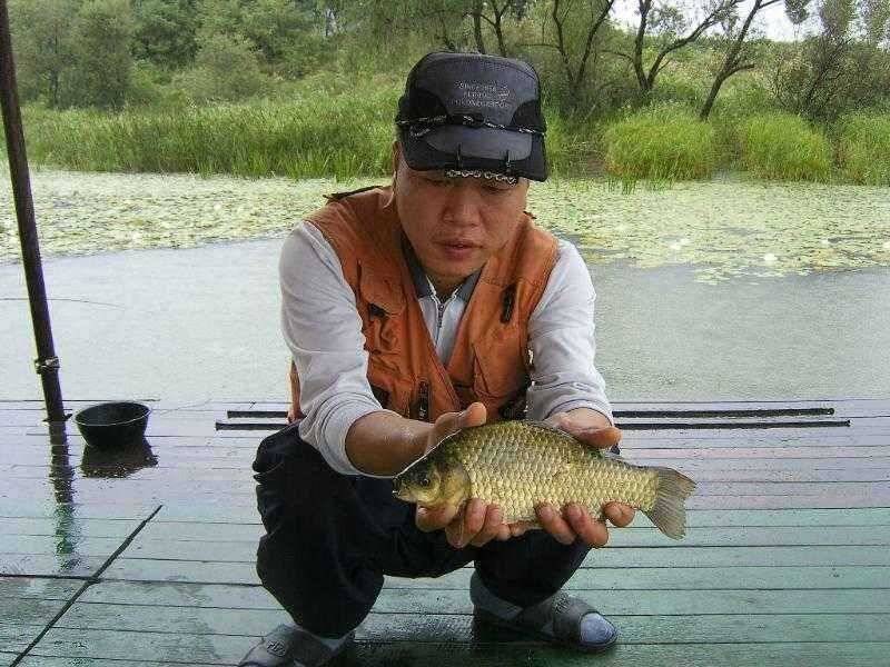 이어지는 광명 조황 (유료터정보 - 유료터점주조황)