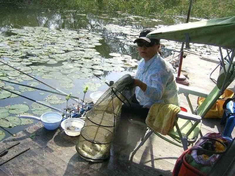 춘천 의암호 광명 낚시터 (유료터정보 - 유료터점주조황)
