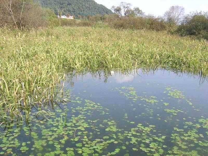 광명 대박 (유료터정보 - 유료터점주조황)