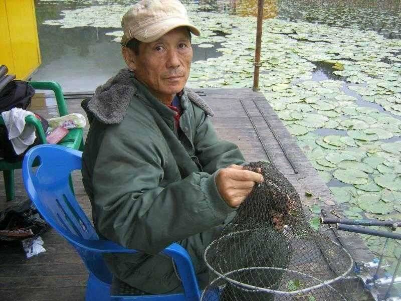춘천 의암호 광명 낚시터 (유료터정보 - 유료터점주조황)
