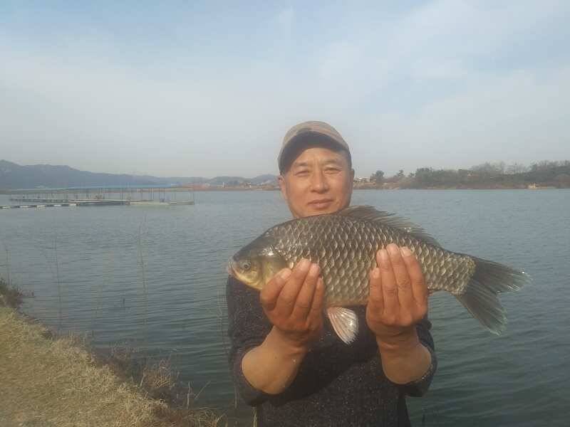 오목낚시터 토종방류및 주말조황 (유료터정보 - 유료터점주조황)