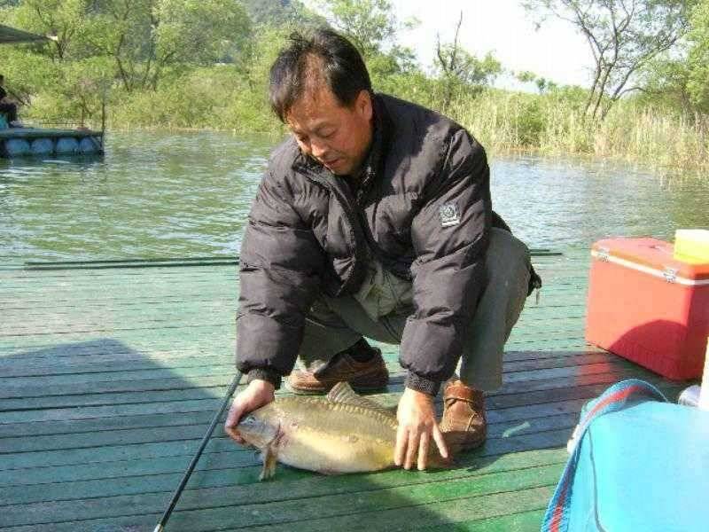 ★ 춘천 의암호 광명 낚시터 ★ (유료터정보 - 유료터점주조황)