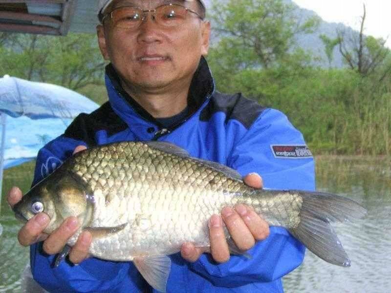 ★ 춘천 의암호 광명 낚시터 ★ (유료터정보 - 유료터점주조황)