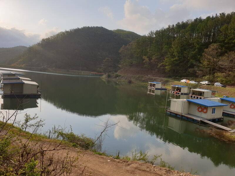 숲 속의 호수 명곡지의 주말 방류모습 (유료터정보 - 유료터점주조황)