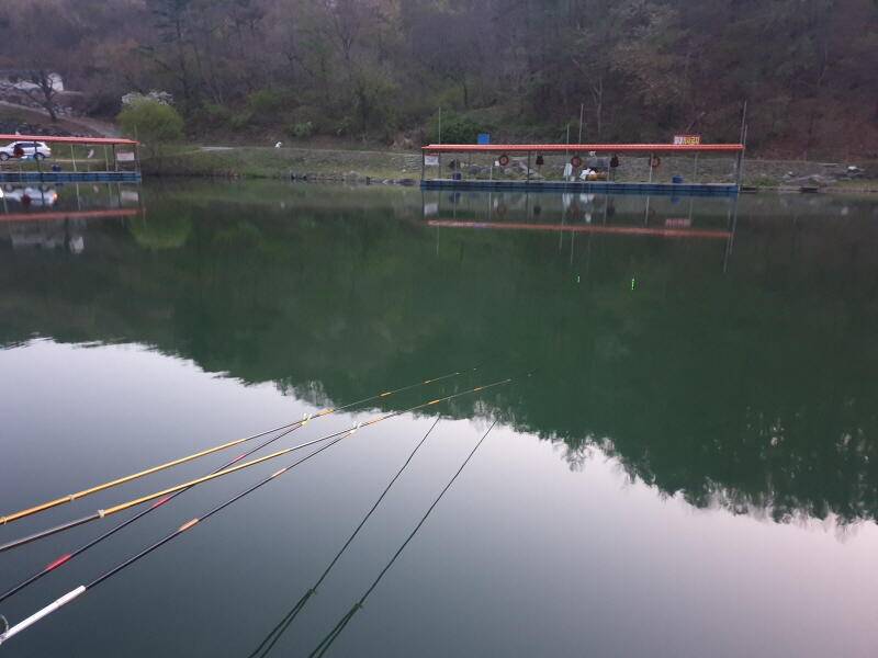 산 속 호수 명곡지 입니다 (유료터정보 - 유료터점주조황)