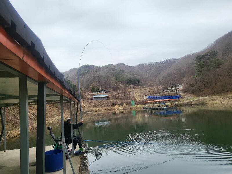 유구 명곡지의 4월1일 명곡지 모습 올립니다 (유료터정보 - 유료터점주조황)