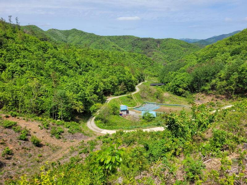산 속의 힐링터 명곡지 입니다 (유료터정보 - 유료터점주조황)