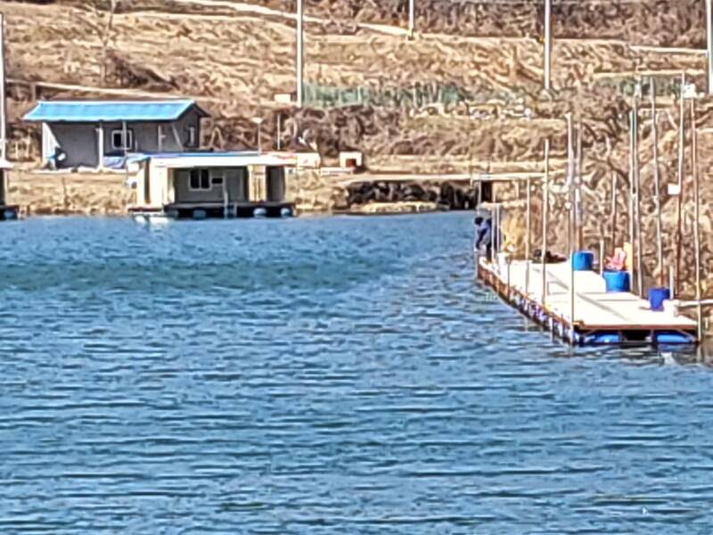 유구 명곡지의 3월15일 향어 방류 모습 입니다 (유료터정보 - 유료터점주조황)