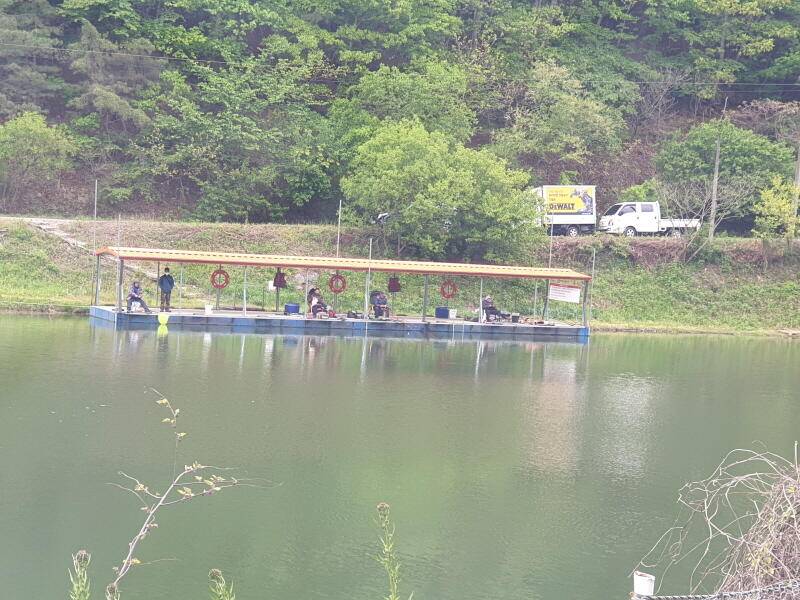 숲 속의 호수 명곡지의 주말 방류및 조황 모습 (유료터정보 - 유료터점주조황)