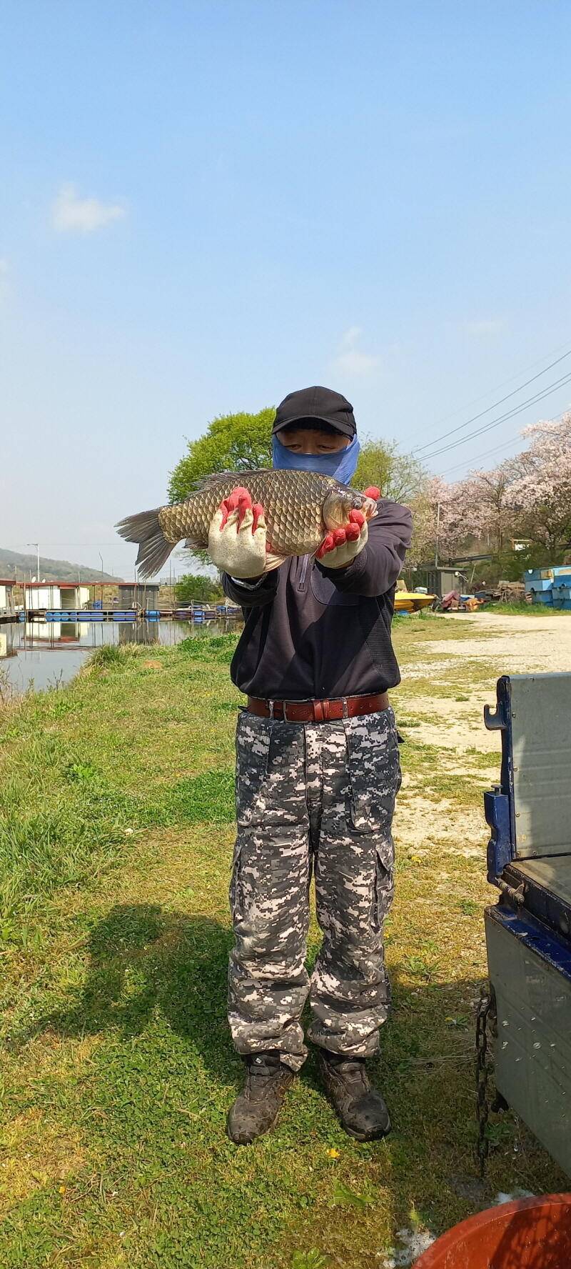 아산 산들낚시터의 4월12일에 금요일 토종 방류 모습입니다 (유료터정보 - 유료터점주조황)