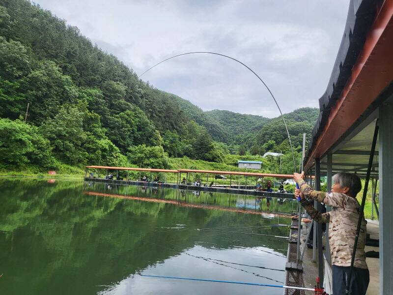 유구 명당의 명곡지 보기 드문 환상의 주말 모습 올립니다 (유료터정보 - 유료터점주조황)