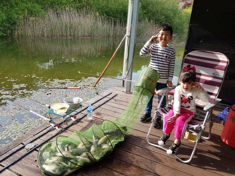 아산 산들낚시터의 계속되는 방류와 어린이 날 모습입니다 (유료터정보 - 유료터점주조황)