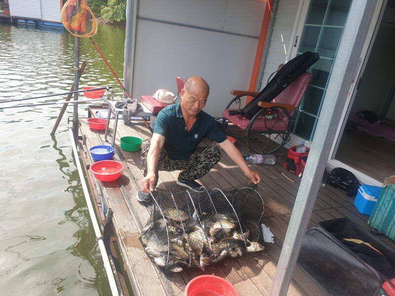 아산 산들낚시터의 6월13일에 올리는 금요일 조황및 방류모습 (유료터정보 - 유료터점주조황)
