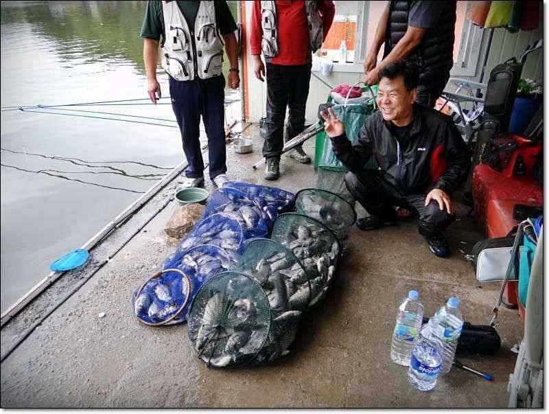 각평낚시터 이제 밤 낚시 호황 정보 (유료터정보 - 유료터점주조황)