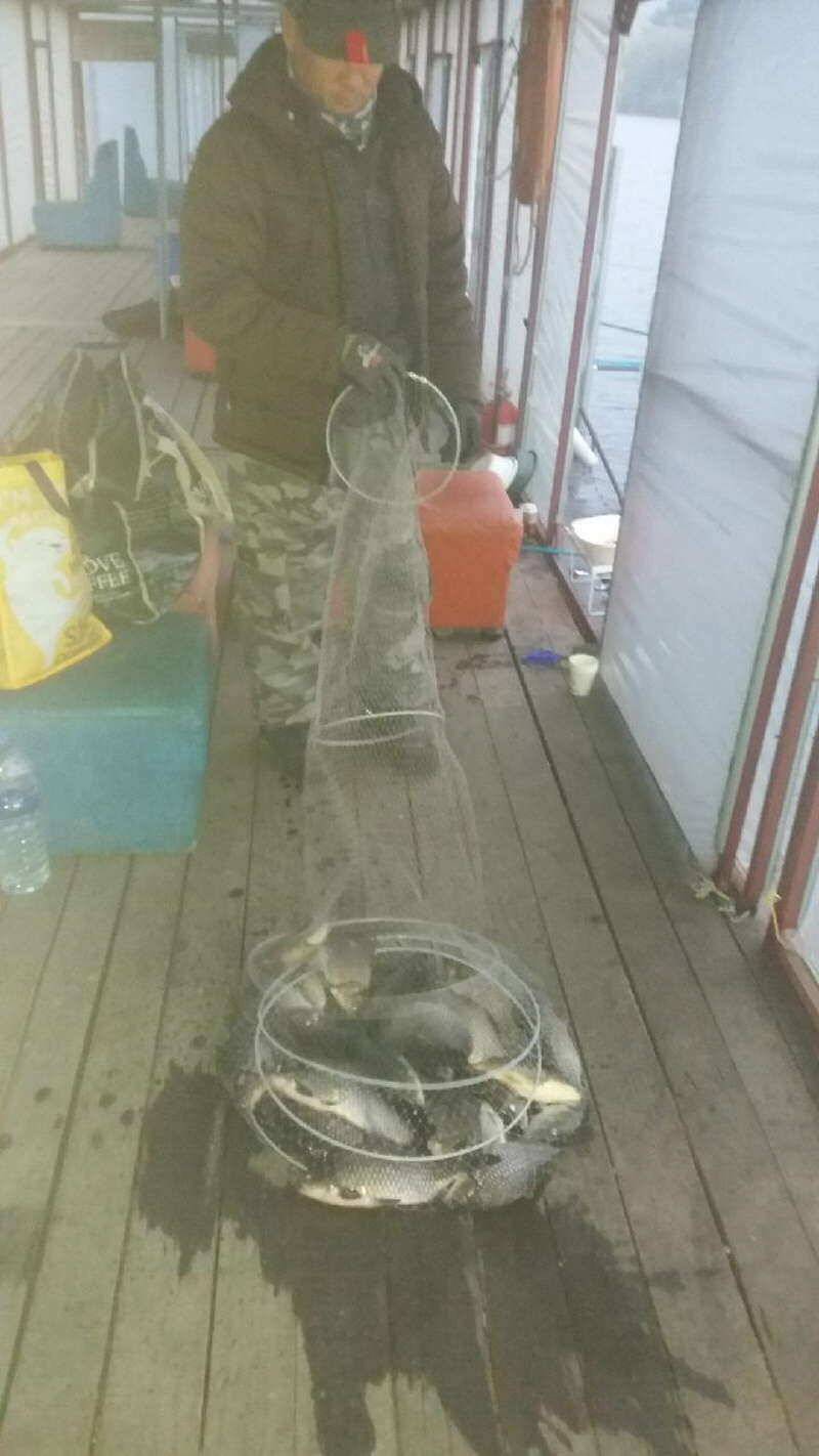 fish_pay_05b20_012309_81665.jpg