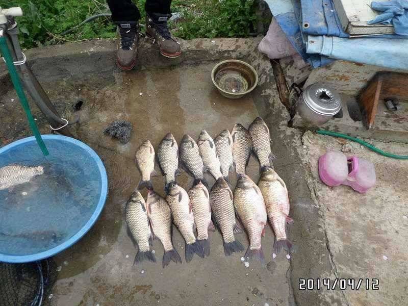 아산오목낚시터 호조황정보 (유료터정보 - 유료터점주조황)