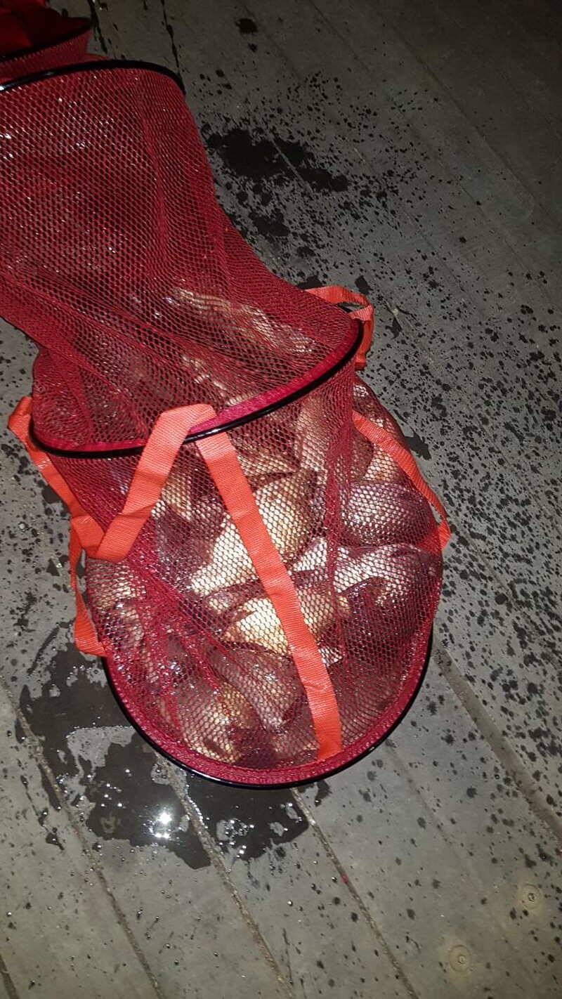 오랜만에 올리는 산들낚시터의 소식입니다 (유료터정보 - 유료터점주조황)
