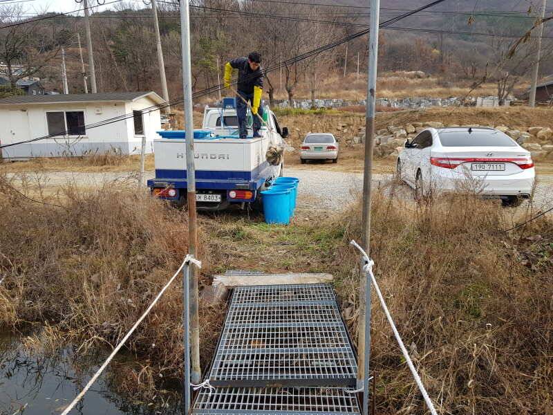 산들낚시터의 12월 3일에 올리는 모습입니다 (유료터정보 - 유료터점주조황)