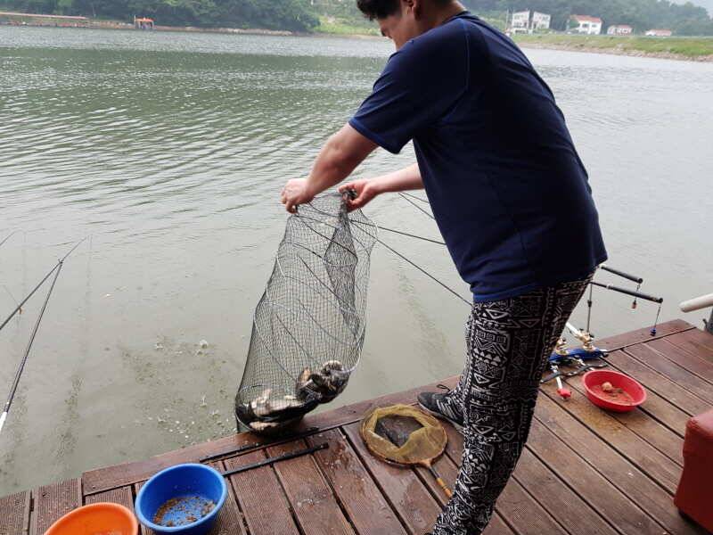 아산 산들낚시터의 6월26일 월요일 방류와 조황 모습입니다 (유료터정보 - 유료터점주조황)