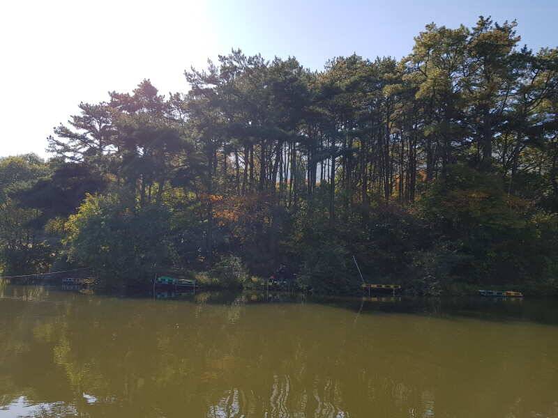 산들낚시터의 금요일 모습입니다 (유료터정보 - 유료터점주조황)