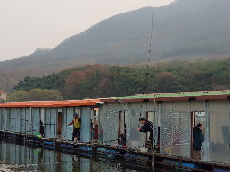 산들낚시터의 11월 12일에 올리는 주말 모습입니다 (유료터정보 - 유료터점주조황)