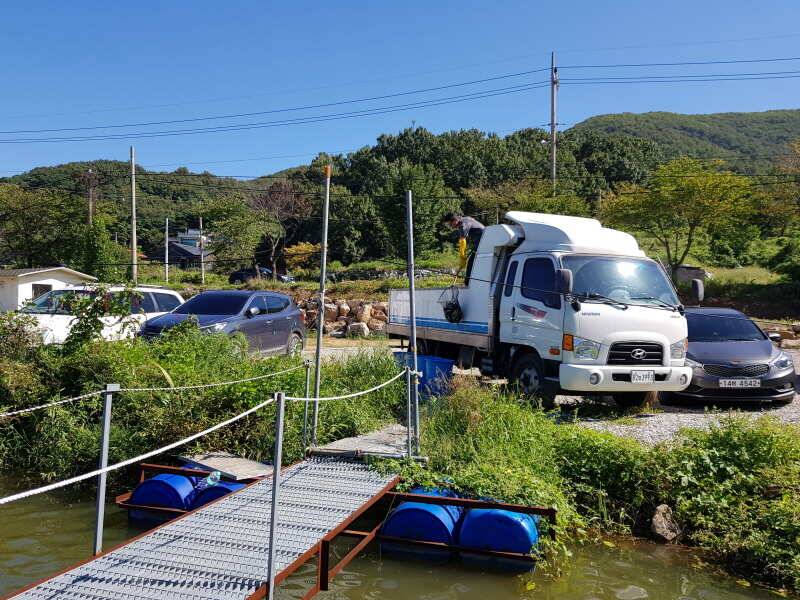 산들낚시터의 까칠한 주말이었습니다 (유료터정보 - 유료터점주조황)