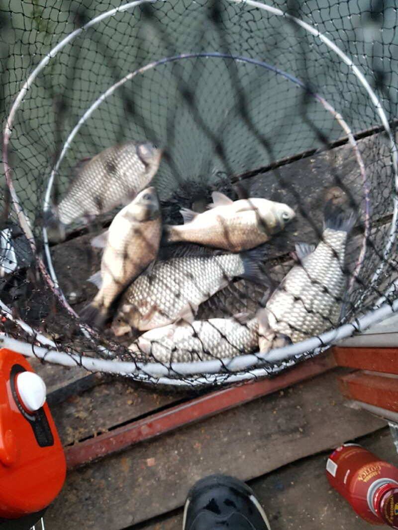 오랜만에 올리는 산들낚시터의 소식입니다 (유료터정보 - 유료터점주조황)
