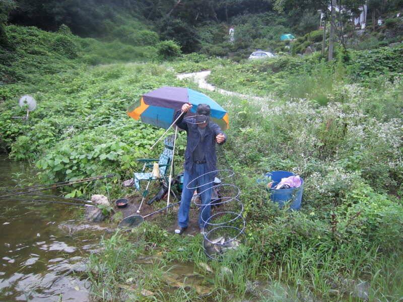 아산 산들낚시터의 7월12일에 올리는 주중 모습입니다 (유료터정보 - 유료터점주조황)