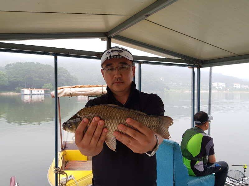 산들낚시터의 장마 비 내리는 7월 첫날 모습 올립니다 (유료터정보 - 유료터점주조황)