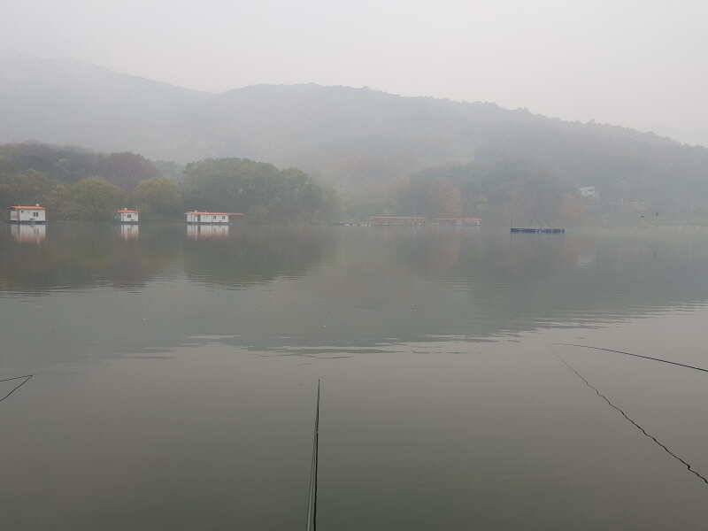 fish_pay_65034_012336_13795.jpg