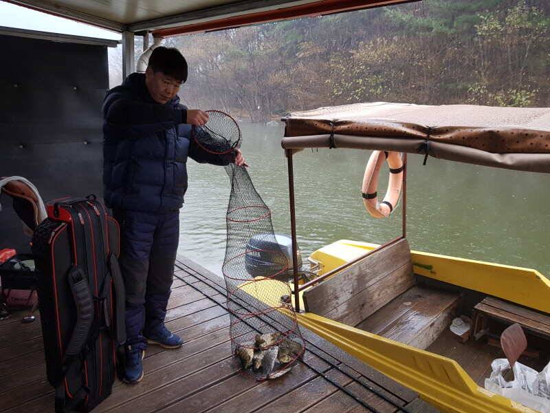 산들낚시터의 11월 27일에 올리는 산들 모습입니다 (유료터정보 - 유료터점주조황)