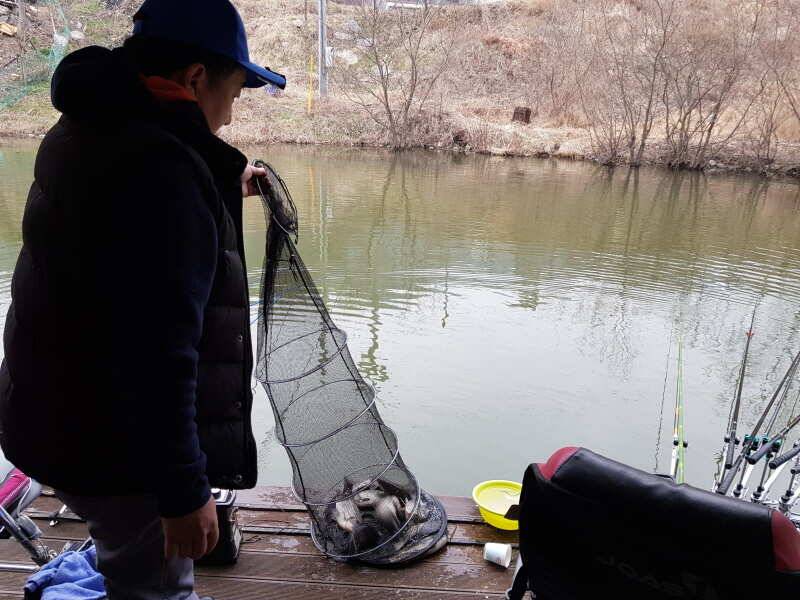 아산 산들낚시터의 고른 조황을 이룬 3월 시째주 주말 (유료터정보 - 유료터점주조황)