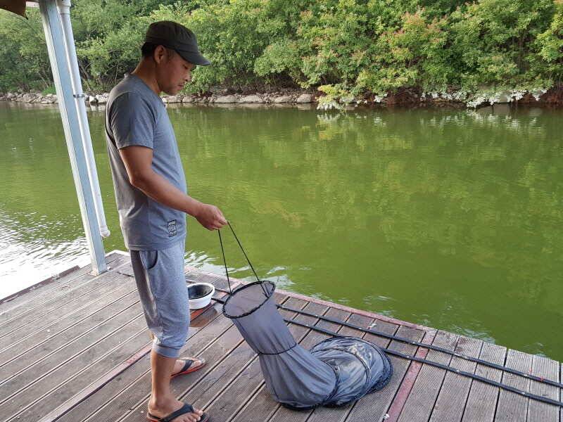 아산 산들낚시터의 7월 28일에 올리는 금요일 모습 입니다 (유료터정보 - 유료터점주조황)