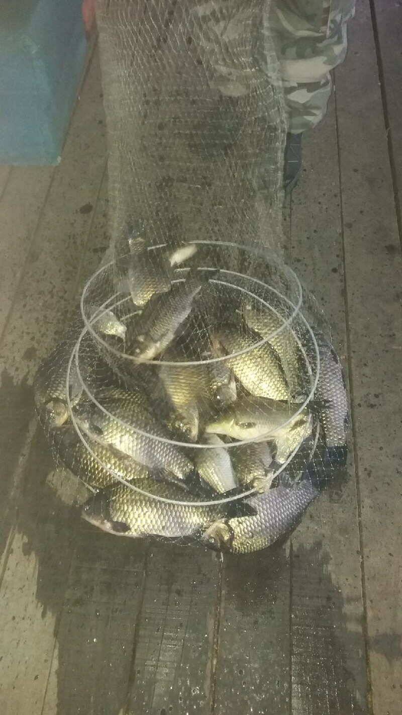 fish_pay_755c5_012259_12333.jpg
