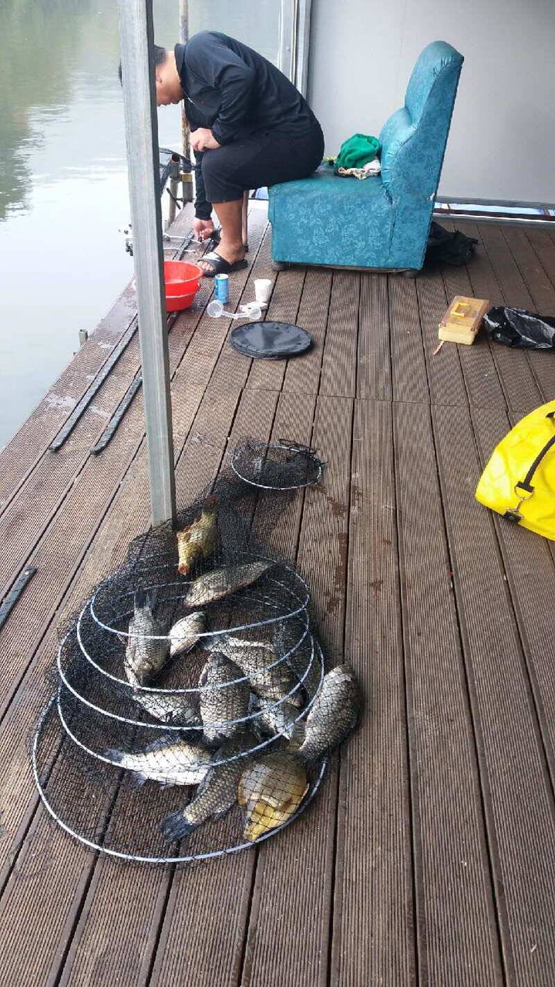 fish_pay_810aa_012325_33835.jpg