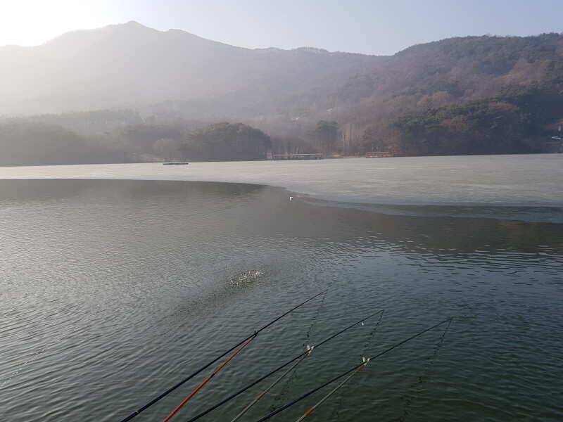 아산 산들낚시터의 1월14일에 올리는 주말 모습입니다 (유료터정보 - 유료터점주조황)