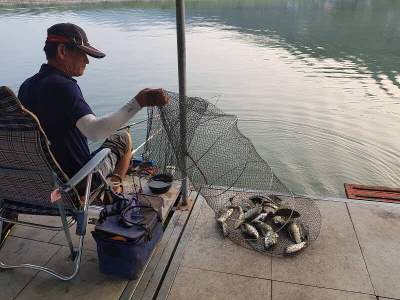 fish_pay_810aa_120215_22688.jpg
