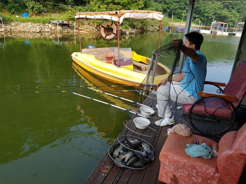 아산 산들낚시터의 7월 28일에 올리는 금요일 모습 입니다 (유료터정보 - 유료터점주조황)