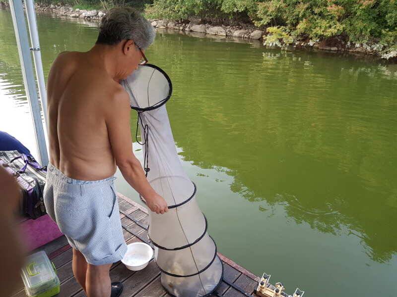 아산 산들낚시터의 7월29일에 올리는 주말 모습 입니다 (유료터정보 - 유료터점주조황)