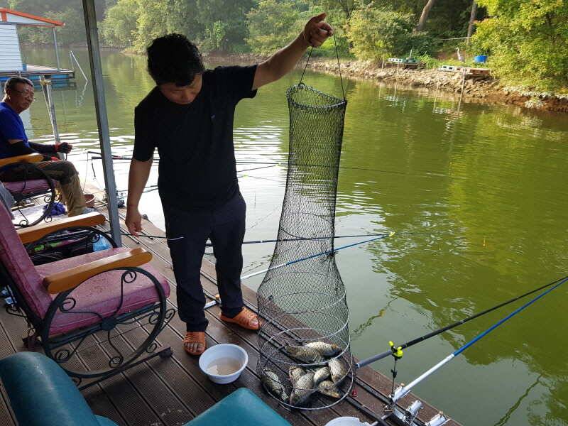 아산 산들낚시터의 7월 28일에 올리는 금요일 모습 입니다 (유료터정보 - 유료터점주조황)