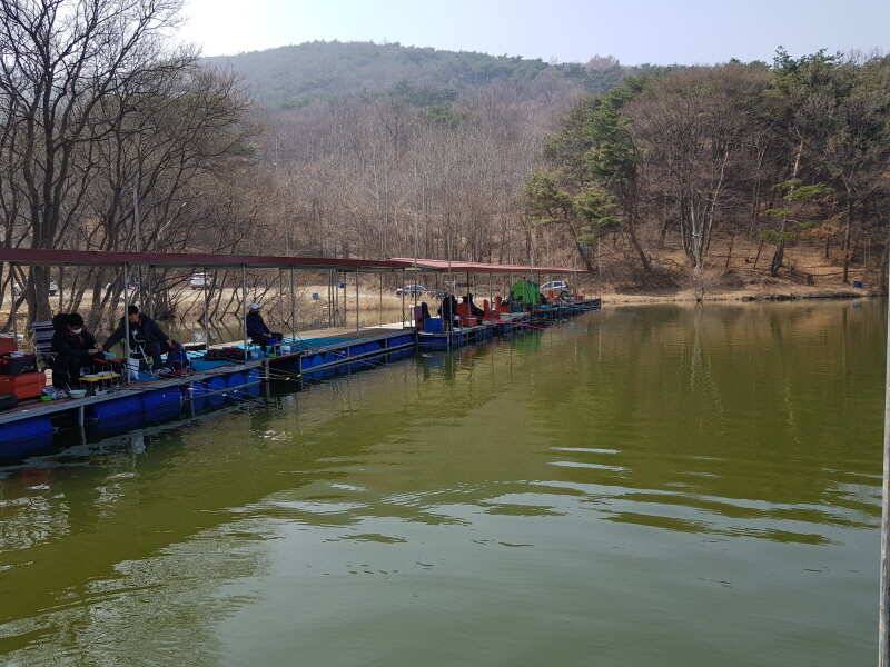 아산 산들낚시터의 3월 넷째주 주말 모습을 느즈막히 올립니다 (유료터정보 - 유료터점주조황)