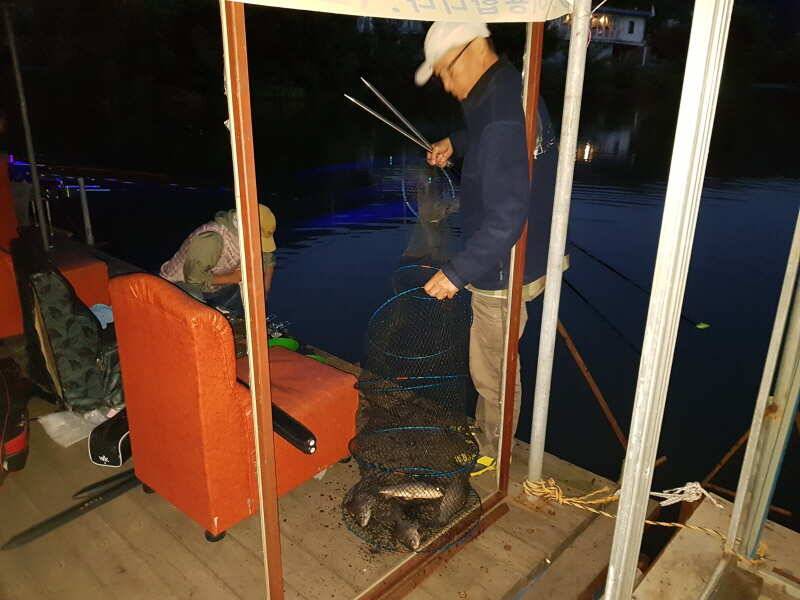 가을 햇살이 따사로운 산들낚시터의 그제어제 모습입니다 (유료터정보 - 유료터점주조황)