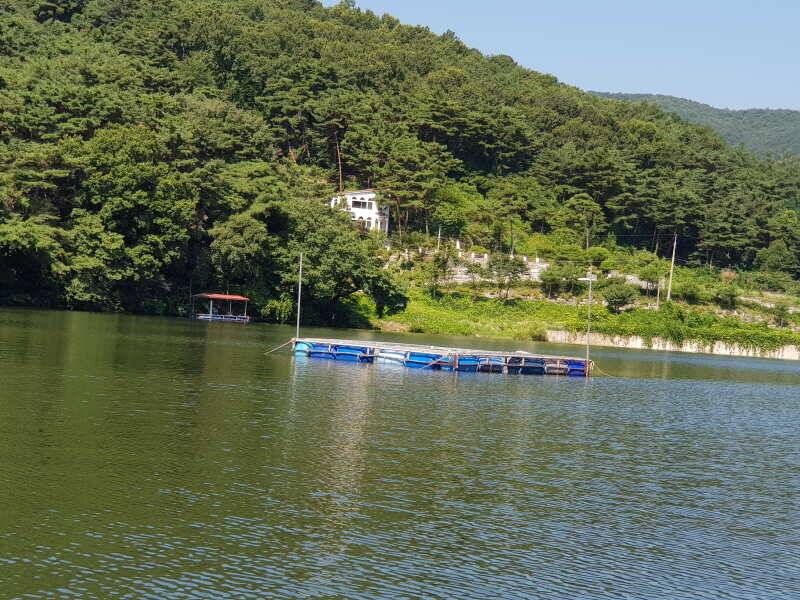 산들낚시터의 7월16일 시원한 일요일 밤이 었네요 (유료터정보 - 유료터점주조황)