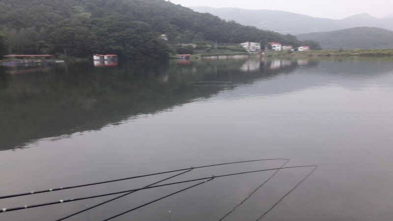 아산 산들낚시터의 9월6일 모습올립니다 (유료터정보 - 유료터점주조황)
