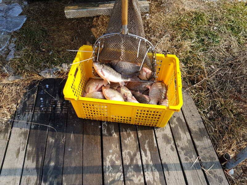 아산 산들낚시터의 밤이 되면 완다 풀 이레요 (유료터정보 - 유료터점주조황)