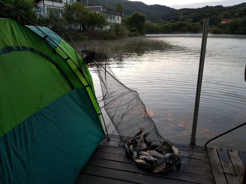 가을 햇살이 따사로운 산들낚시터의 그제어제 모습입니다 (유료터정보 - 유료터점주조황)