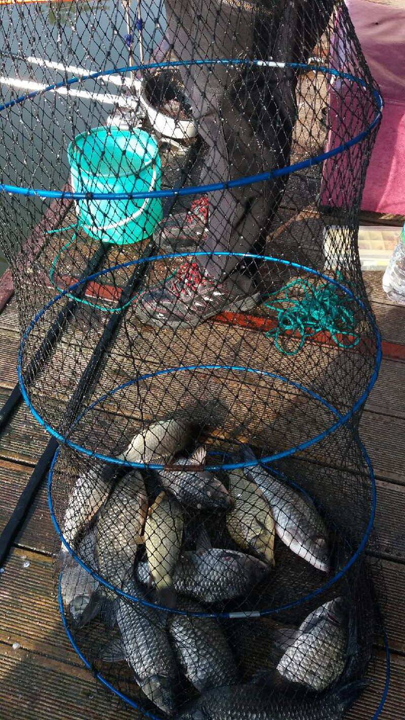 fish_pay_bc4e8_012322_33260.jpg