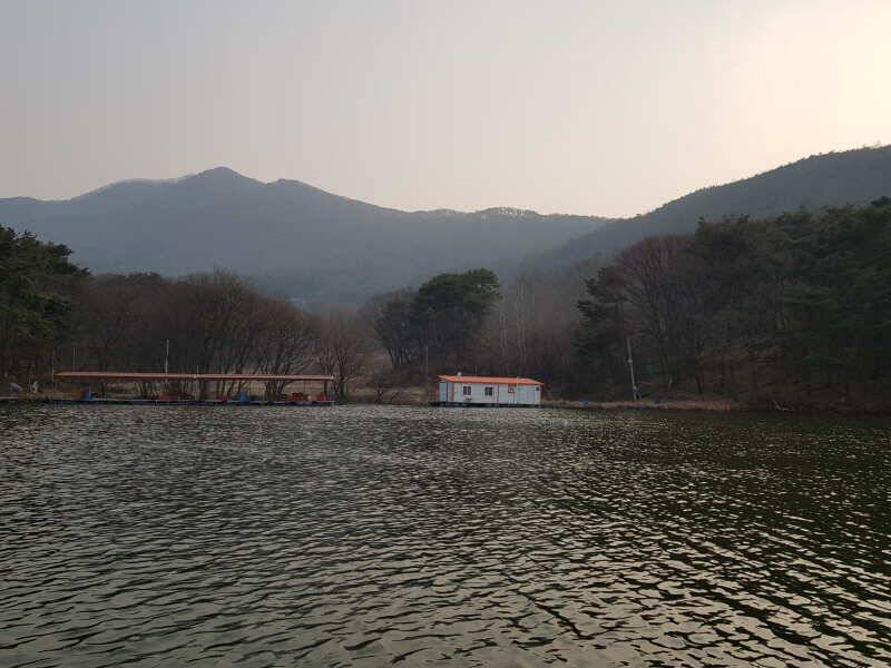 아산 산들낚시터가 봄 포인트 찿아 좌대를 이동 시켰습니다 (유료터정보 - 유료터점주조황)